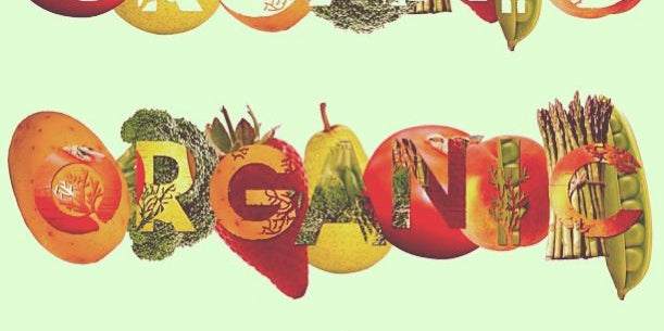 UAE's Emerging Green Beauty Movement: A New Wave in Conscious Skincare